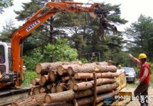 남부산림청, 기계화로 숲가꾸기 효율 끌어 올린다!