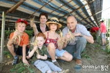 (인터뷰)달라진 제32회 금산인삼축제 박동철 금산군수 에게 듣다!