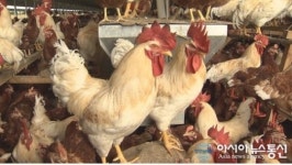 남원 동물복지 축산농장 1호 탄생