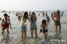 맨손으로 고기잡는 영흥도 장경리해변 선물