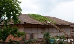 순천문학관 초가지붕에 박 주렁주렁