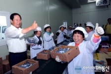 영천포도, 미국수출 지난 24일 첫 선적