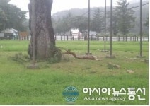 충북 남부 3군, 오후 11시 강풍주의보 해제
