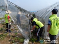 동두천시 농협, 태풍 피해복구 일손도와