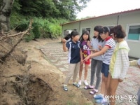 영주시 이산초, 소나무 사랑으로 인성교육 확립
