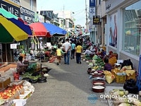울진 추석대목장 풍경