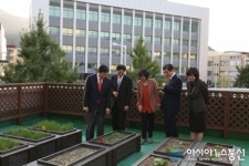 안양만안구청 옥상은 팜 스타일