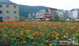 순천시, 조례동 도심속 노는땅에 꽃단장