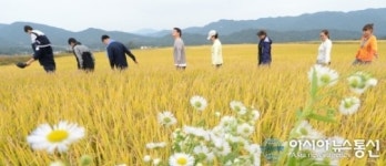 거창에서 가을속을 걷다