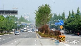 창원대로 녹지형 중앙분리대 조성사업 박차