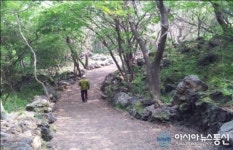 서귀포시 화순리, 번내골권역’ 힐링 걷기행사 10일 개최