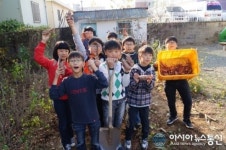 밀양 수산초, 학교 텃밭에서 고구마 수확