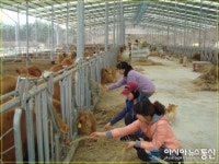 용인시, 2012년 축산경영 시범사업 평가회 실시