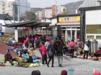경주시주부단, 감포전통시장 김장장보기 나서