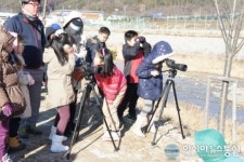 봉화군 춘양초, 운곡천 철새 관찰 실시