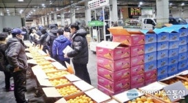 농협창원공판장, 농산물 판매 500억원 달성