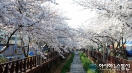 창원 진해군항제에 별점 많이 주세요