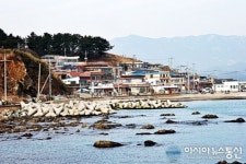 영덕 대진2리 깨끗한 어촌 우수마을 선정