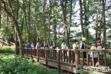 삼척 명품 산소길 오랍드리 새단장