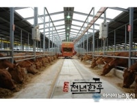 경주천년한우, 믿을 수 있는 브랜드육 입증