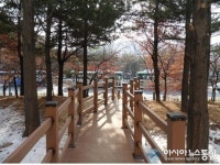김포시 사우동 48번 국도변 완충녹지 조성 모습