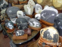 (단독)순천서 세계적인 수석박물관 꿈꾸는 박병선씨 화제