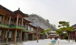 눈덮인 단양 온달관광지
