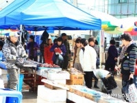 영양군, 설맞이 공직자.가족 전통시장 장보기 행사