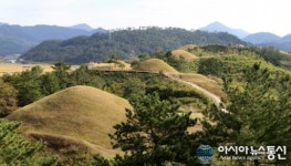 아라가야의 전국 최대 고분군, 세계문화유산 등재 추진