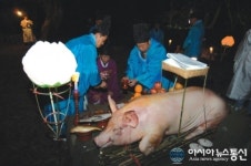 제주도 무형문화재 제 6호 납읍리 마을제 봉행