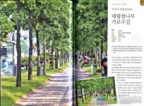 구미시, 한국의 가로수 62선에 3개소 선정