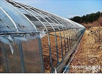 울진 서면 억대부농마을로 탈바꿈한다