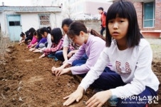 밀양 수산초, 학교 텃밭 감자 심기 체험