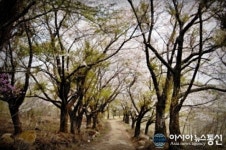 군위군, 산악레포츠 단지 조성