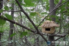 운주산 등산로 짚풀 새둥지길 조성