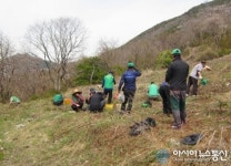 진해구 석동, 새마을농장서 땅두릅 60kg 수확