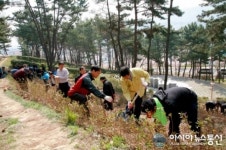 마산회원구, 국립 3.15민주묘지 일원 철쭉 식재