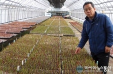 정읍 ”모닝팜” 블루베리 유기농 국내 최대 농장 새지평