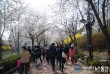 석촌호수로 벚꽃구경 온 시민들