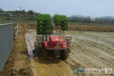 고흥군, 죽암농장 올 첫 모내기