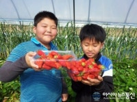 하동 적량초등학교 체험학습으로 바른 인성 기른다