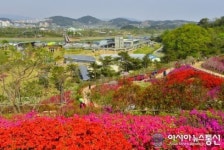 순천만을 보존하는 에코벨트