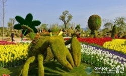 미래 정원문화 미리보는 순천만국제정원박람회