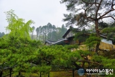 신라시대 고찰 선암사