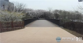 남산 한남보행교, 다시 태어나다