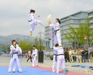 태권도 격파 시범