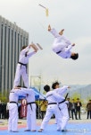 정통 국기원 태권도 시범