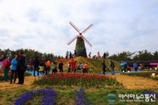태안튤립축제 관람객 몰려들며 인기 절정