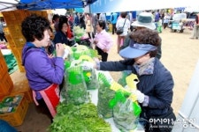 포항시, 이번달 다채로운 축제 열려