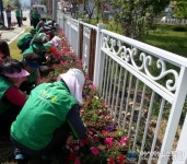 합천 새마을운동지회, 후레쉬한 GREEN 합천거리 만들기 추진